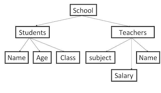 Hierarchical Database Model